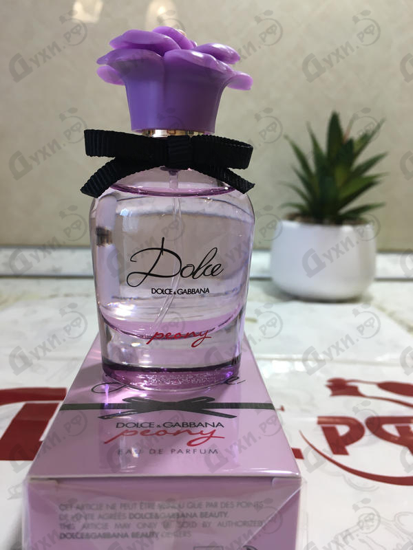 dolce gabbana peony